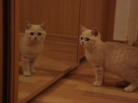 Betynka ve 3,5 měsících